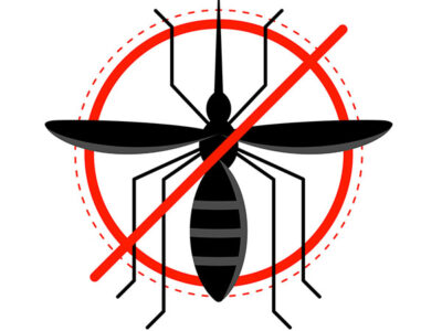 Pest control services in kottayam