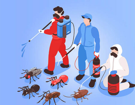 Pest control services in kottayam