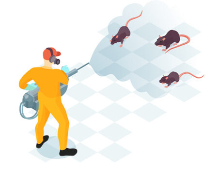 Pest control services in kottayam